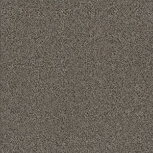 DreamWeaver TITAN III - 362 Quail Hollow