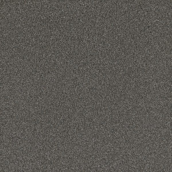 DreamWeaver NO LIMITS I - 5001 Warm Shadow