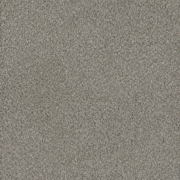 DreamWeaver NO LIMITS I - 5082 Dewberry