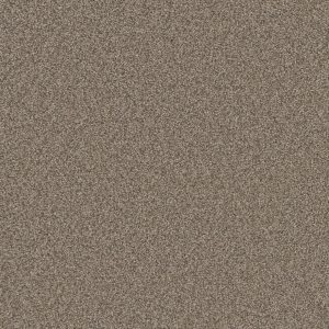 DreamWeaver ROYALE I - 6004 Umber