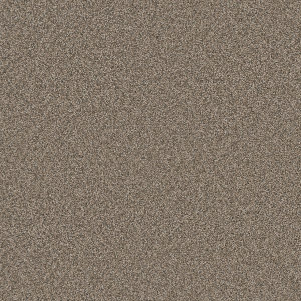 DreamWeaver ROYALE I - 6004 Umber