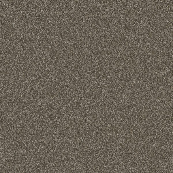 DreamWeaver ROYALE II - 6005 Fawn