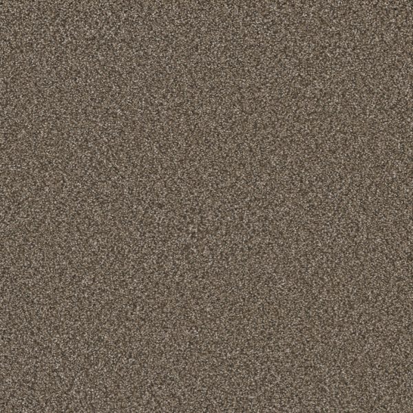 DreamWeaver ROYALE I - 6005 Fawn