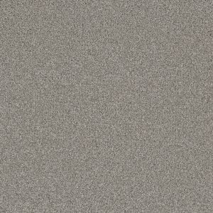 DreamWeaver ROYALE I - 6040 Winterscape