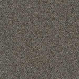 DreamWeaver ROYALE I - 6049 Meadow Dance