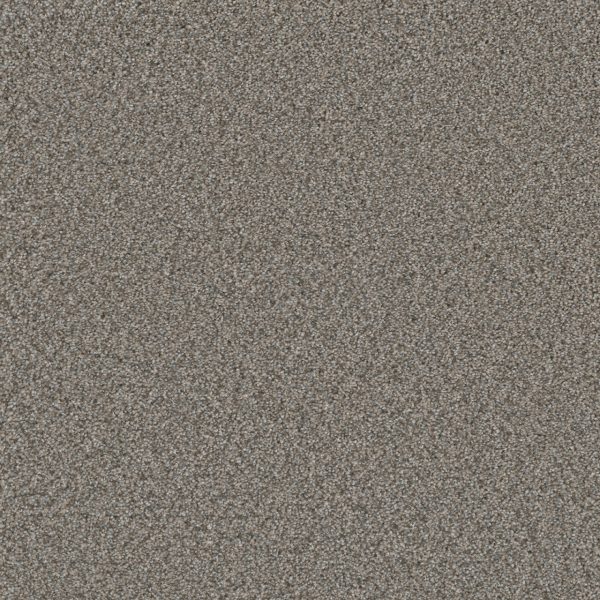 DreamWeaver ROYALE I - 6077 Dogwood