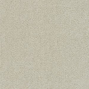 DreamWeaver CLEAR SKIES II - 4588 Pale Oak