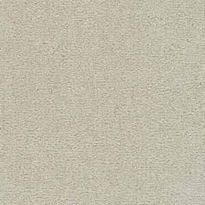 DreamWeaver CLEAR SKIES III - 4588 Pale Oak