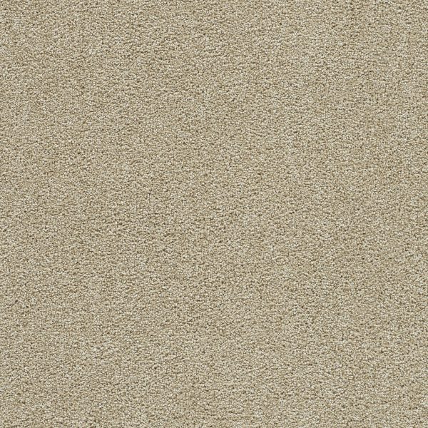 DreamWeaver CLEAR SKIES III - 580 Cream
