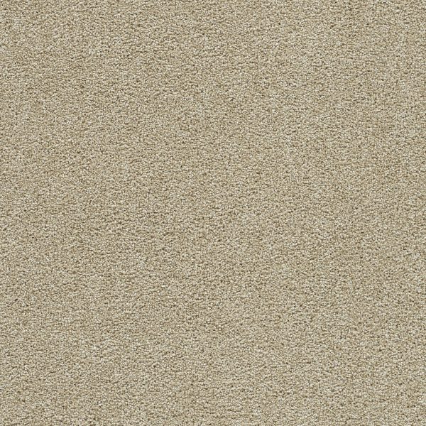 DreamWeaver CLEAR SKIES II - 580 Cream