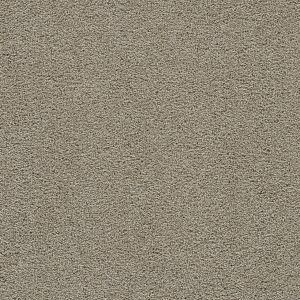 DreamWeaver CLEAR SKIES II - 788 French Oak