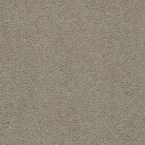 DreamWeaver CLEAR SKIES III - 788 French Oak
