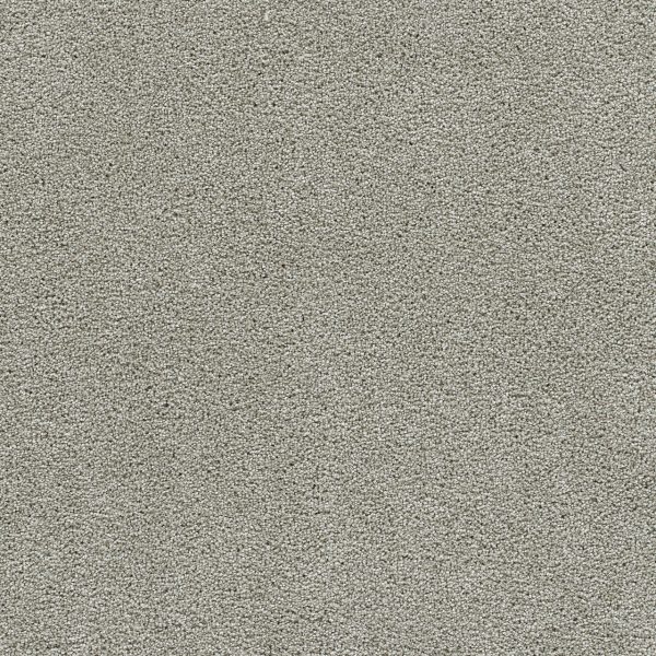 DreamWeaver CLEAR SKIES II - 830 Silver Lining