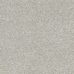 DreamWeaver SILVER LINING IV - 2785 Distrail