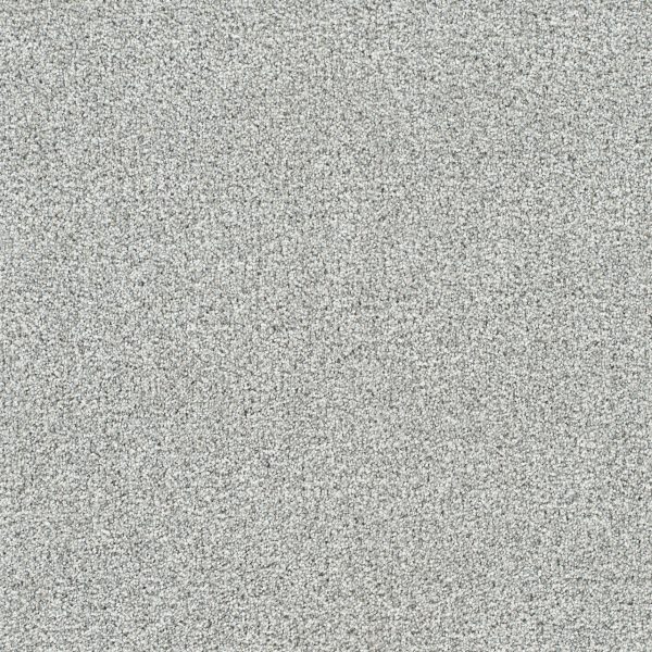 DreamWeaver SILVER LINING III - 2791 Fog