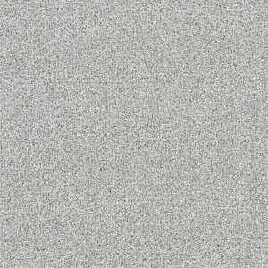 DreamWeaver SILVER LINING IV - 2791 Fog