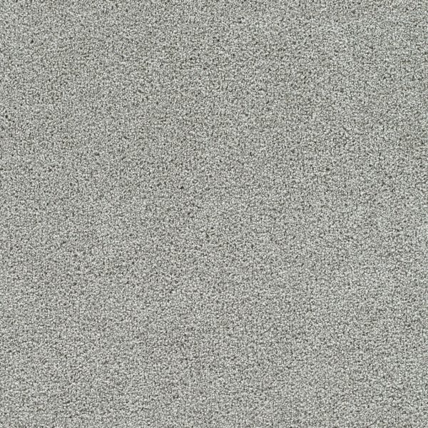 DreamWeaver SILVER LINING III - 2820 Alto