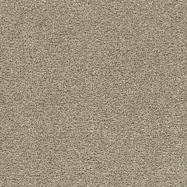 DreamWeaver SILVER LINING III - 2892 Dust
