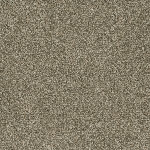 DreamWeaver BRAZEN I - 156 Olympic