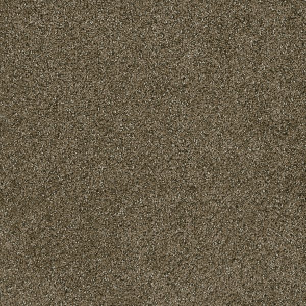 DreamWeaver BRAZEN I - 245 Brandywine