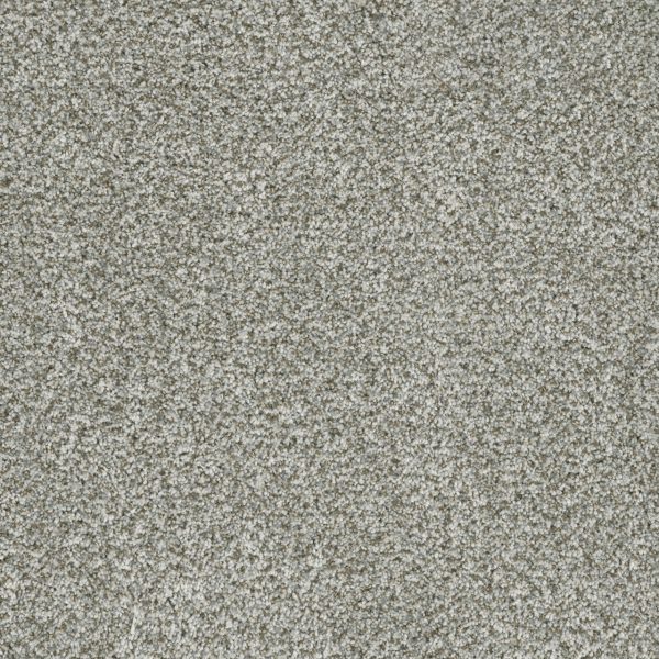 DreamWeaver BRAZEN II - 407 Purity
