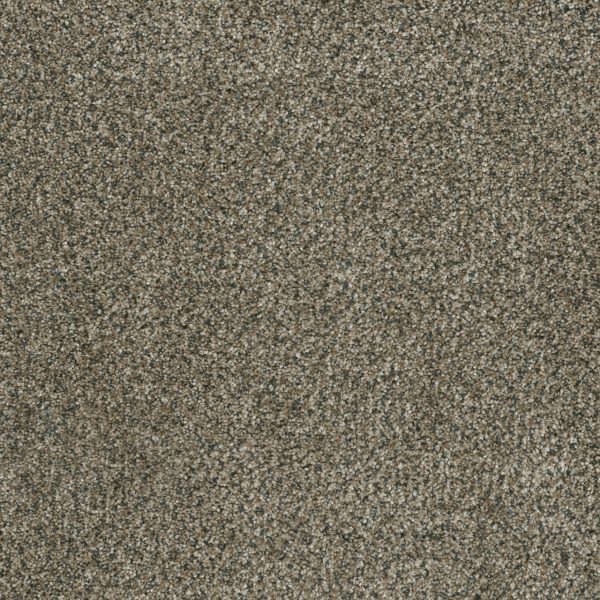 DreamWeaver BRAZEN I - 497 Feather Soft