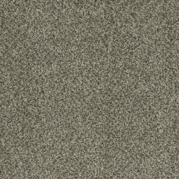 DreamWeaver BRAZEN I - 542 Pacifico