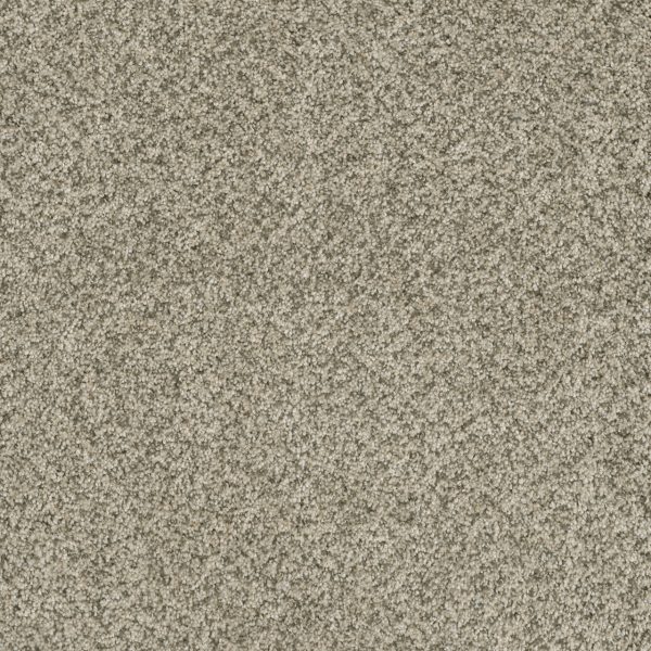 DreamWeaver BRAZEN II - 596 Acadia