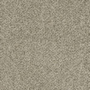 DreamWeaver BRAZEN I - 596 Acadia