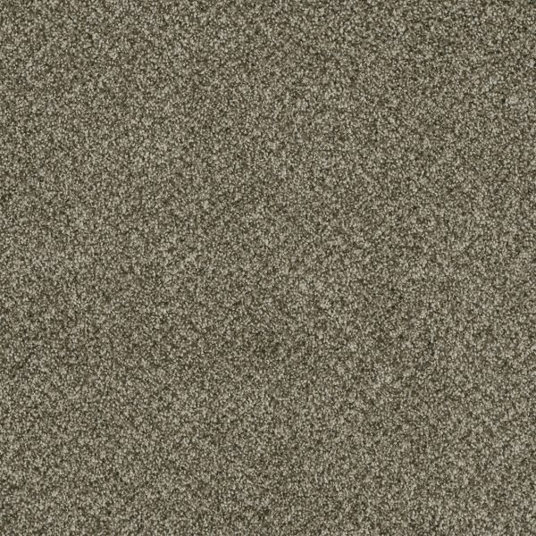 DreamWeaver BRAZEN I - 605 Olivewood