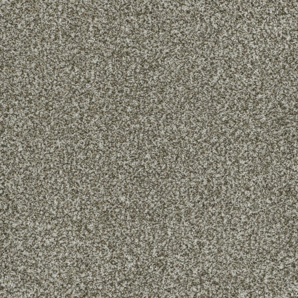 DreamWeaver BRAZEN II - 848 Clove