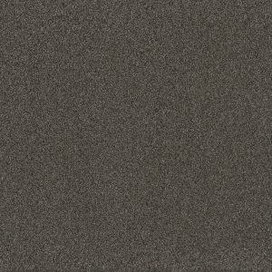 DreamWeaver BLAZER III - 4180 Smoky Quartz