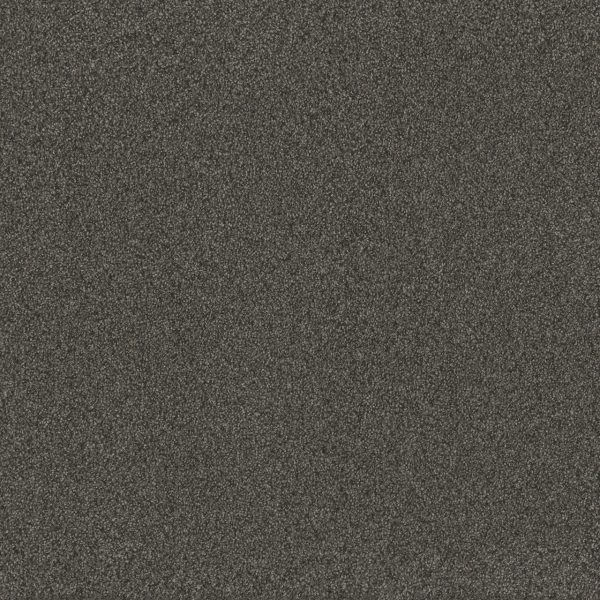 DreamWeaver BLAZER II - 4180 Smoky Quartz