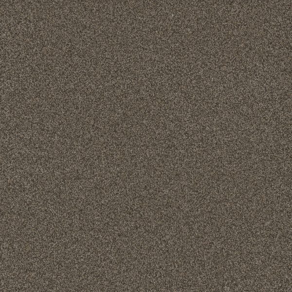 DreamWeaver BLAZER III - 5133 French Roast