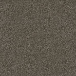 DreamWeaver BLAZER II - 5133 French Roast