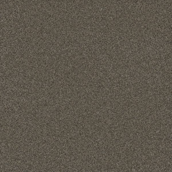 DreamWeaver BLAZER II - 5133 French Roast