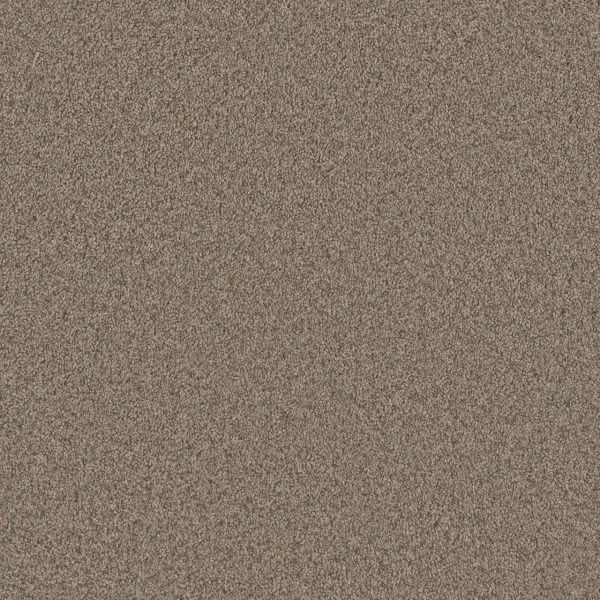 DreamWeaver BLAZER III - 6004 Umber