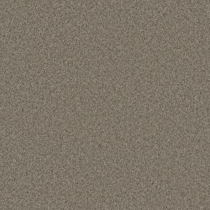 DreamWeaver BLAZER II - 6004 Umber