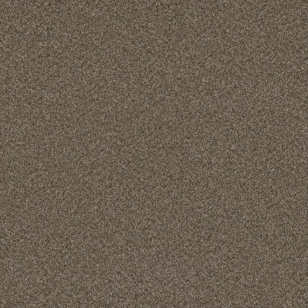 DreamWeaver BLAZER III - 6005 Fawn
