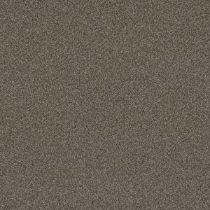 DreamWeaver BLAZER II - 6005 Fawn