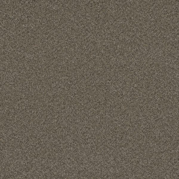 DreamWeaver BLAZER II - 6005 Fawn