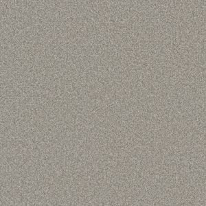 DreamWeaver BLAZER III - 6057 Polar Cap