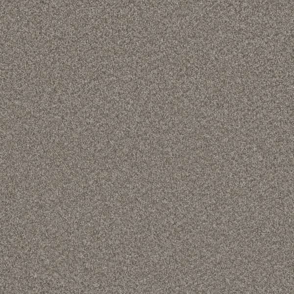 DreamWeaver BLAZER III - 6077 Dogwood