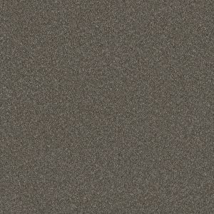 DreamWeaver BLAZER II - 6112 Rugby