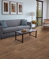 Mohawk Elegant Appeal II - 742 Shell Trail 7.5 in x 60