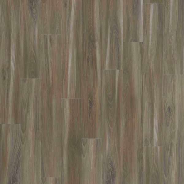 Mohawk Elegant Appeal I - 832 Dash O'spice 9 x 60