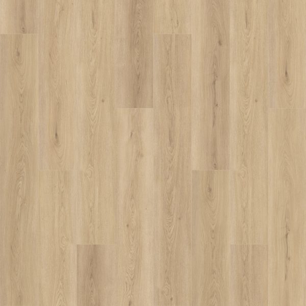 Mohawk Elegant Appeal I - 727 Coastal 7 x 59.53