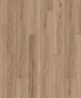 Mohawk Elegant Appeal I - 655 Envy 7 x 59.53