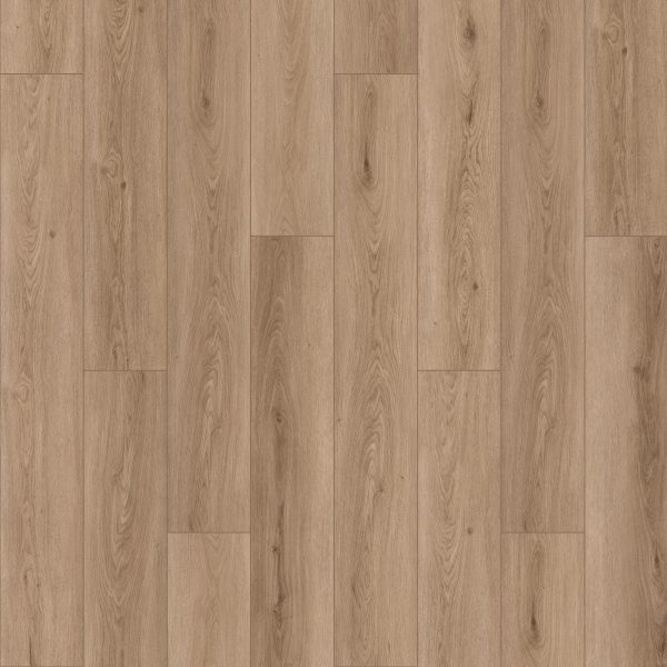 Mohawk Elegant Appeal I - 655 Envy 7 x 59.53