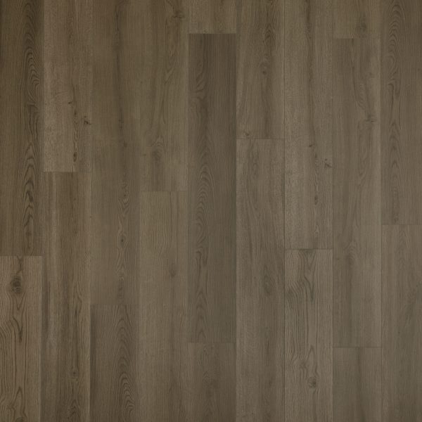 Mohawk Elegant Appeal I - 545 Bermuda Bay 5 x 1